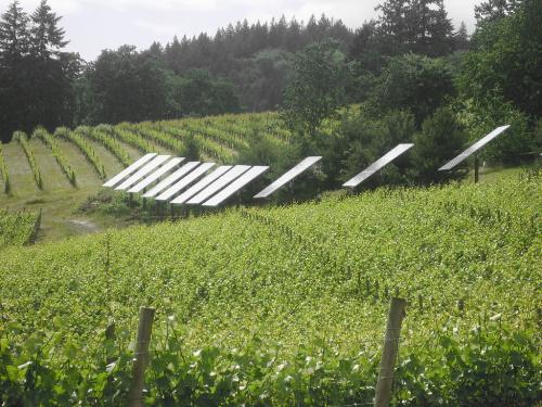 Ηλιακά πάνελ σε αγρόκτημα